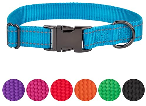 FAVPET Nylonhalsband för hundar – hundhalsband för valpar små, medelstora och stora hundar – hundhalsband med robust metallstängning – reflekterande halsband för hundar (blå, S)