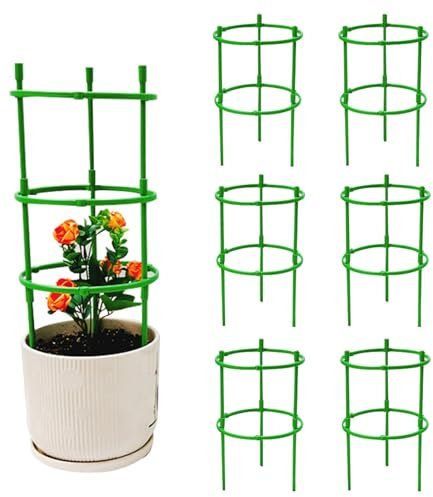 Lot de 6 tuteurs de jardin pour plantes grimpantes - Pour tomates et plantes de jardin - Type de fleur - Support rond pour pivoines, hortensias, tomates, roses