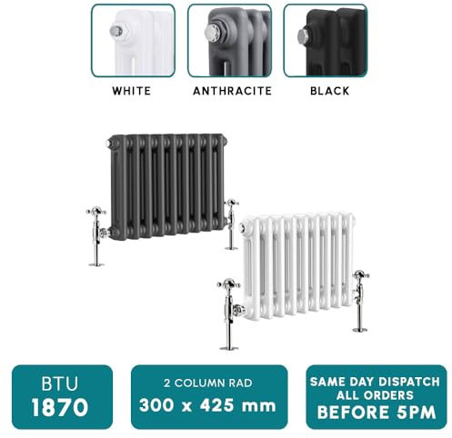 Traditional 2 3 Column Horizontal Vertical Radiator Cast Iron Style Vintage Rads (2 Column 300 x 425mm, Anthracite)
