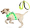 KOSKILL LED Hundegeschirr Wiederaufladbares Beleuchtetes Hundegeschirr Leuchtet Im Dunkeln LED Hundeweste Reflektierend Hundelichter für Nachtspaziergänge Grün L