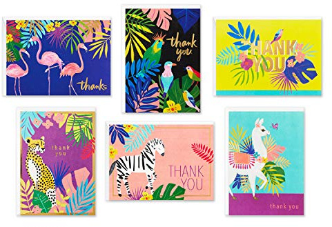 Hallmark tackkort sortiment, tropiska djur (24 blandade tacksedlar med kuvert — gepardar, lamor, zebror, flamingos, fåglar)