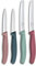 Victorinox Swiss Classic, Tomaten- und Gemüsemesser Set, 4teilig, Scharfe Klinge, 8 und 10 cm, Wellenschliff, Rostfreier Stahl, Grün und Rot
