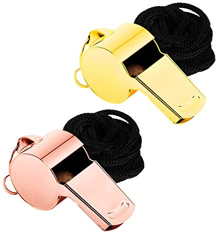 qingmeng Trillerpfeife Sportunterricht, 2 Stück Trillerpfeifen, Edelstahl Schiedsrichter Pfeife Sport, Metall Whistle mit Umhängeband, Sportpfeife für Sportunterricht, Hundetraining, Schulsport