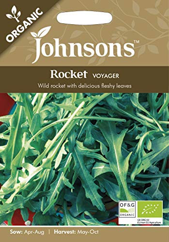 Johnsons ORG Rocket Voyager Vegetable Seeds, Green