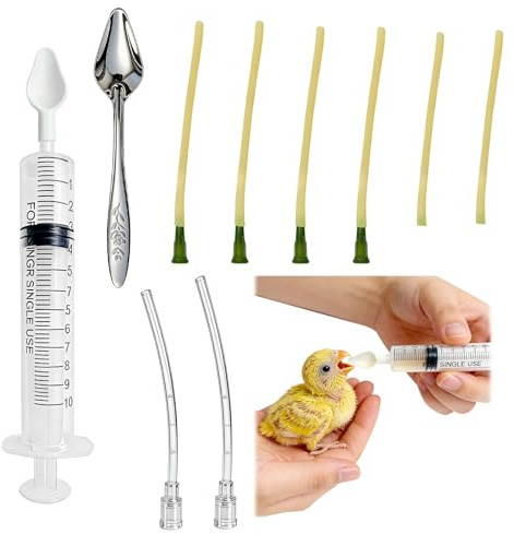 Tuyau d'alimentation pour Jeunes, 10ml Seringue avec Tuyau, Outils d'alimentation Manuelle pour Bébés Oiseaux, Perroquets, Lait, Eau, Médicaments (16)