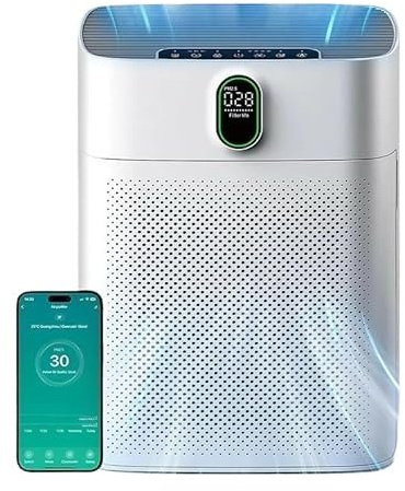 Smart Luftreiniger V1 Pro