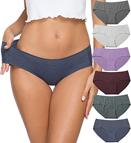 Altheanray Womens Underwear Cotton Underwear for Women Seamless Hipster Bikini Briefs Panties 6 Pack(3028L,Solid)