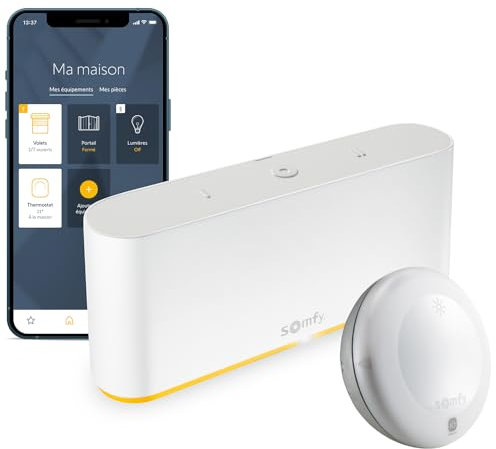 Somfy 1870595 - Tahoma Switch | intelligente Smart Home - Zentrale & 2401219 - Funk-Sonnensensor Sunis Wirefree io | Batteriebetrieben | Kompatibel mit Tahoma (Switch)