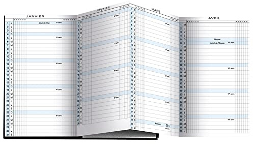 Exacompta - 162622E - Ricarica Agenda tascabile Exaplan 16 fisarmonica - 9 x 16 cm - Planning mensile da gennaio a dicembre 2025