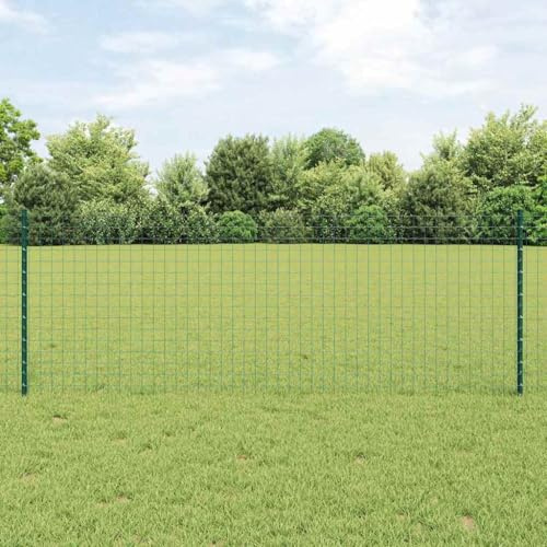 Tonture Recinzione da giardino verde con pali, recinzione a doppia asta, resistente alle intemperie, in acciaio e PVC, elemento di recinzione verniciato a polvere, per terrazze ed esterni, protezione