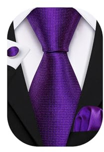 Barry.Wang Men Purple Ties Pocket Square Cufflinks Silk Necktie Formal Business Wedding Party Work Tie