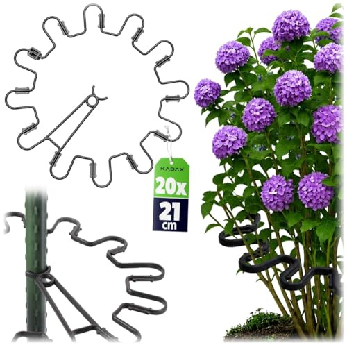 KADAX Perennhållare, rund Ø 21 cm i set om 20, växthållare av plast, växtstöd, perennstöd för hortensior och pioner, hortensiahållare, växtring (svart)