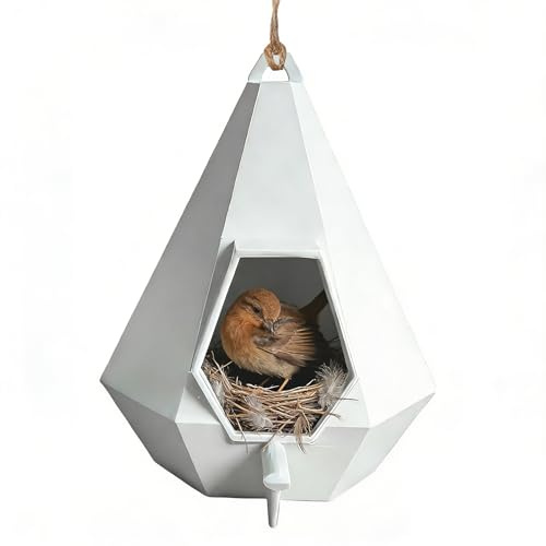 Mangeoire à oiseaux en forme de goutte d'eau semi-fermée, distributeur d'oiseaux à suspendre pour oiseaux sauvages, récipient de nourriture de cour, station d'alimentation pour animaux sauvages