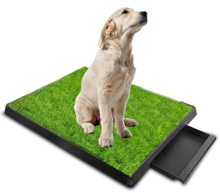 NEWFUN 63 * 51 cm Inodore per cani Cested interno Orinale Cane Cuscinetto di allenamento dell'Erba per animali domestici, Lettiera per Cani e Gatti per Addestramento
