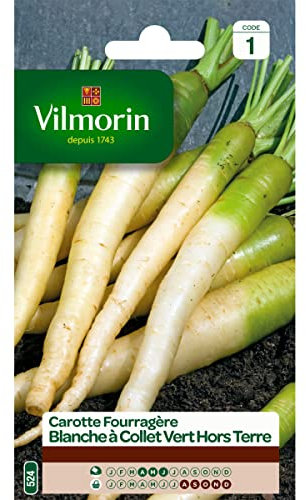 Vilmorin - Sachet graines Carotte fourragère Blanche à collet vert