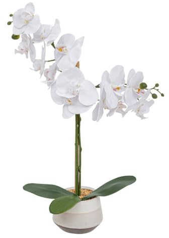 Atmosphera - Orchidée Artificielle clera h52cm Blanc
