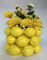 PeachiiPitt Zitronenvase – fröhliche gelbe Keramikvase im französischen/mediterranen Stil, einzigartige Vase mit 3D-Zitronen-Design, Zitronen-Küchendekoration, Geschenk zum Einzug