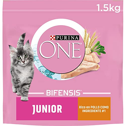 Purina One Bifensis Nourriture pour Chat Junior, bébé ou Chaton avec Poulet et céréales, 6 sachets de 1,5 kg