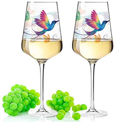 Leonardo Puccini Weinglas mit UV-Druck - Kolibri Design - Geschenk für Weingenießer zum Grillfest Sommerfest - ein sommerliches Geschenk für Sie & Ihn für Wein Cocktail Aperitif Sangria