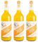 Ginger Hero BIO-Ingwer-Curcuma-Konzentrat-PUR mit 100% Direktsaft aus 100% BIO-Bourbon-Ingwer aus Madagaskar und BIO-Curcuma, ohne Zucker und künstliche Zusatzstoffe, 3x1000 ml
