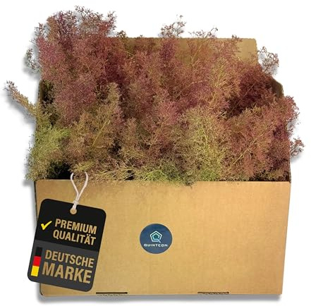 Quintcom Sea Moss per modellismo, materiale di piantagione per alberi e cespugli nei boschi di modellismo, cartone 30 cm x 20 cm x 14 cm