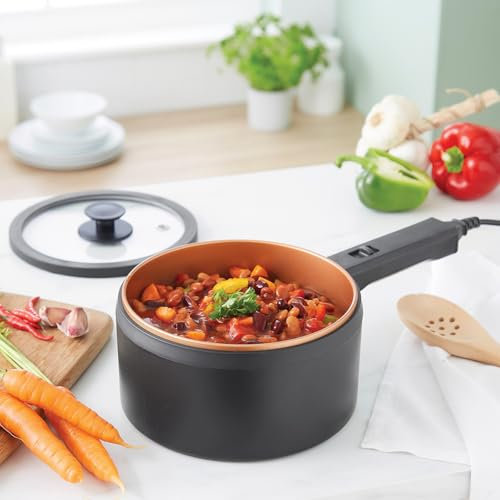 3 PAGEN® Elektrischer Kochtopf mit Deckel 2 Liter, Antihaft Hot Pot Multikocher, Kochen ohne Herd, Elektropfanne, Elektro-Kochtopf mit 2 Temperaturreglern, Multifunktional und energiesparend, 300/600W