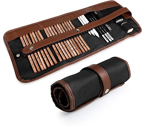 Coolzon Zeichenstifte, 29-teiliges Künstler-Set mit Skizzenstiften, Kohlebleistiften, Graphitstiften, Radiergummi, Extender in einem Etui