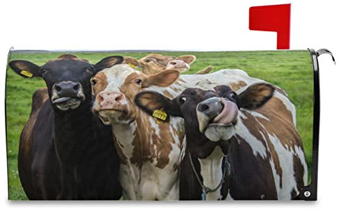 Vdsrup Lustige Bauernhaus-Kühe-Briefkasten-Abdeckungen, magnetisch, Grasland-Tiere, Briefkastenabdeckung, Standardgröße, 45,7 x 52,6 cm, Briefkastenabdeckung, Gartendekorationen