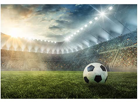WallArena - Carta da parati fotografica in tessuto non tessuto, per cameretta dei bambini, 254 x 184 cm, motivo: calcio, per ragazzi e ragazzi – Carta da parati fotografica per bambini – Carta da