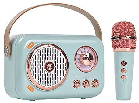 Eighosee Altoparlante Bluetooth Portatile Vintage con Microfono Set Altoparlante Bluetooth con Macchina per Karaoke Domestica per Feste A Casa - Blu