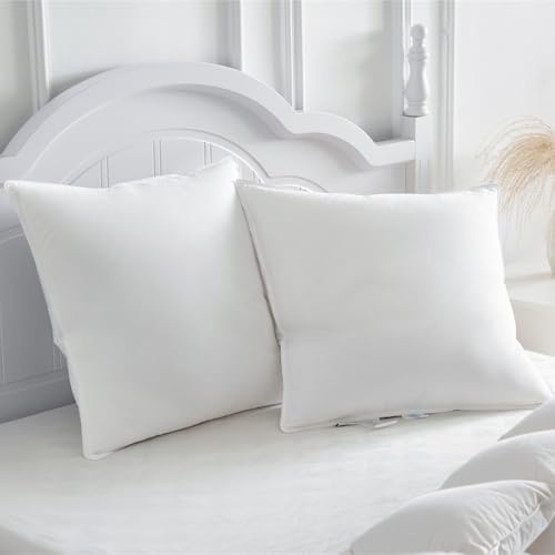Homyrium Almohada de Plumón 60x60 Pack 2 Almohada Plumas 60x60 cm Almohada para Dormir de Hotel de 3 Cámaras, Funda 100% Algodón y Relleno de Pluma, Certificado Ökotex (900 g, 2 Unidad)