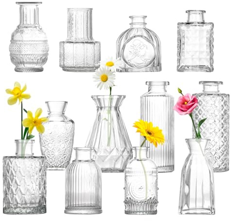 Homshsjhkis 12 Pcs Mini Vases en Verre, Vase Fleur Transparent, Petit Vase Deco Table, Glasvasen pour Arrangements Floraux, Centres de Table Mariage, Bricolage, Décorations de Table Moderne