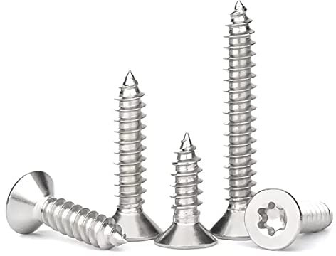 FandWay Vis Autotaraudeuses à Tête Fraisée Torx M3x12/16/20/25/30mm Acier Inoxydable 304 Vis à Tête Plate Torx à Bois,Vis à Tôle Autoperceuses Entièrement Fileté Avec 1 T10 Clé (25 pièces/chacune)