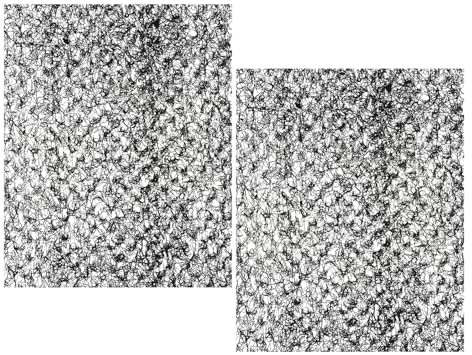Homoyoyo Coperta Antierosione per Esterni 2 Pezzi 30x30 Cm, Rete di Protezione e Tappetino Stabilizzatore Terreno per Giardinaggio, Controllo Sedimenti e Copertura Paesaggistica