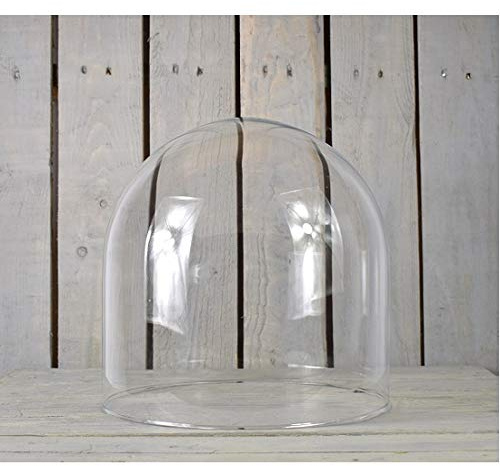 EMH Campana in vetro trasparente, 30 cm, realizzata a mano, per decorazione matrimonio