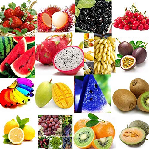 Portal Cool Semi di Photinia Fraseri Piante paesaggistiche preferite Red Lip Tree Ehe8