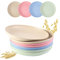 Happybase Lot de 8 assiettes plates de 25,4 cm en plastique incassables, réutilisables, passent au micro-ondes et au lave-vaisselle, pour adultes et enfants