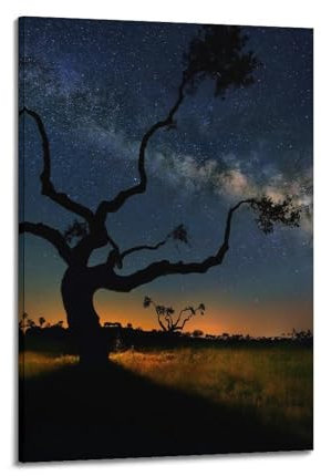 LUFPOTH Poster Nshdahns Die Milchstraße, die Sterne, das Universum, Astronomie, der Nachthimmel, Vintage-Kunst, Raumdekoration, ästhetisches Schlafzimmer-Poster für Schlafzimmer, 30 x 45 cm