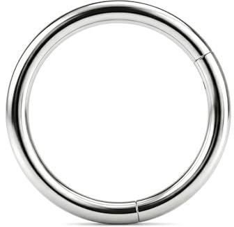 LAURITAMI Titan näsring ring ring 20G 18G 16G 14G titanlegering gångjärn klicker - näsa piercing smycken septum ring helix örhänge brosk tragus daith läpppiercing smycken, 6/8/10/12 mm