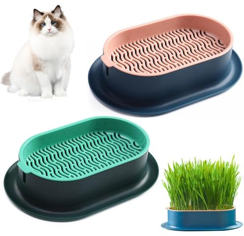 Asfrode Lot de 2 bacs à plantes pour herbe à chat - Plateau pour herbe à chat - Vert