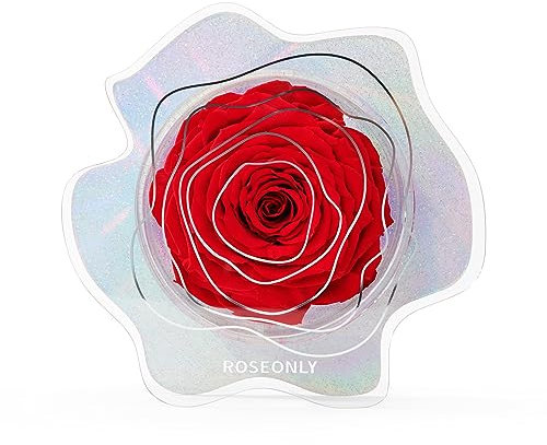roseonly. Ewige Rose Nebel, Konservierte Rosen, Infinity Rote Rosette Nebel, Geschenke für Frauen zum Geburtstag, Valentinstag, Weihnacht, Muttertag, Jubiläum