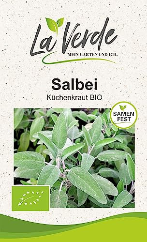 Salbei BIO Kräutersamen