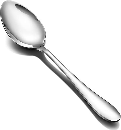 Zaby 9 Inch Stainless Steel Chef Spoon, 1 Count, Cooking Spoons, Silver, 1 Piece