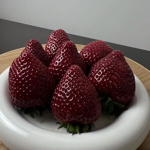 Semi di fragola perenni resistenti, giardino rari 550pcs