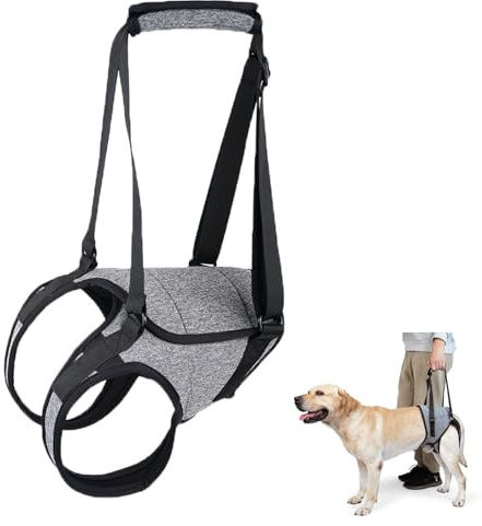 Justerbar sele för att lyfta hundar, sele för hunden bakre ben, hundsele för displasi, lämplig för äldre hundar, handikappade och med begränsad rörlighet (L)
