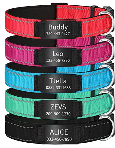 Collari per cani riflettenti personalizzati, con targhetta identificativa in acciaio inox incisa personalizzata, collare imbottito per animali domestici