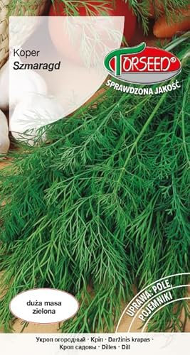 Verdica Semi di aneto aromatico smeraldo Anethum graveolens - Alto contenuto di oli essenziali, crescita verde robusta, resistente alla siccità, versatile erba culinaria, perfetta per giardini