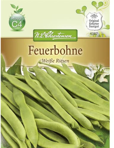 Chrestensen Prunkbohne 'Weiße Riesen' Saatgut