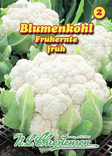 N.L. Chrestensen 411058 Blumenkohl Frühernte (Blumenkohlsamen)