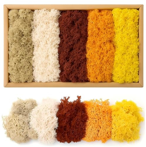 Musgo Preservado, Musgos Decorativos Imitados en 5 Colores Diferentes, 200g